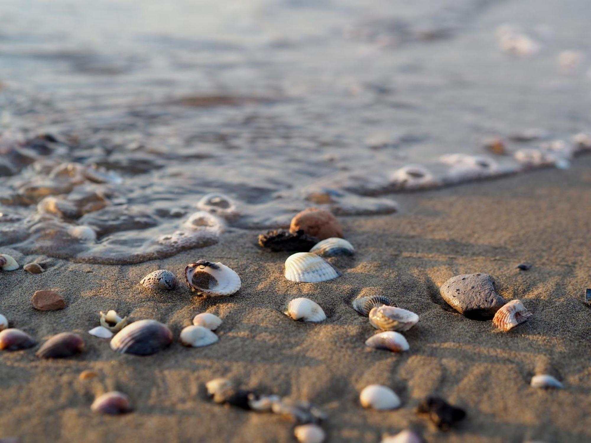 Charming Near The Apartment Bibione